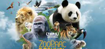 Zoo de beauval saint aignan sur cher 